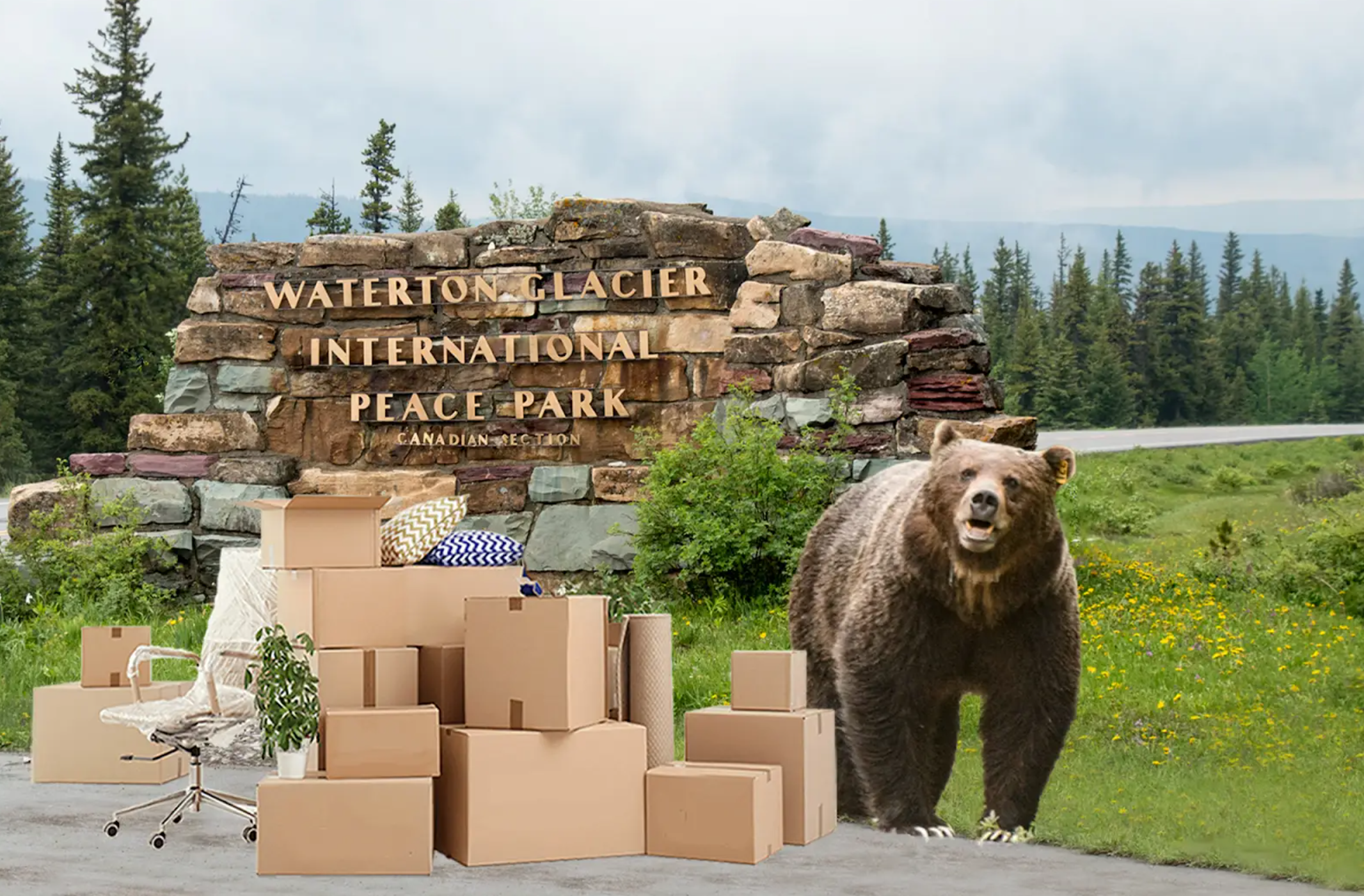A New Grizzly HQ